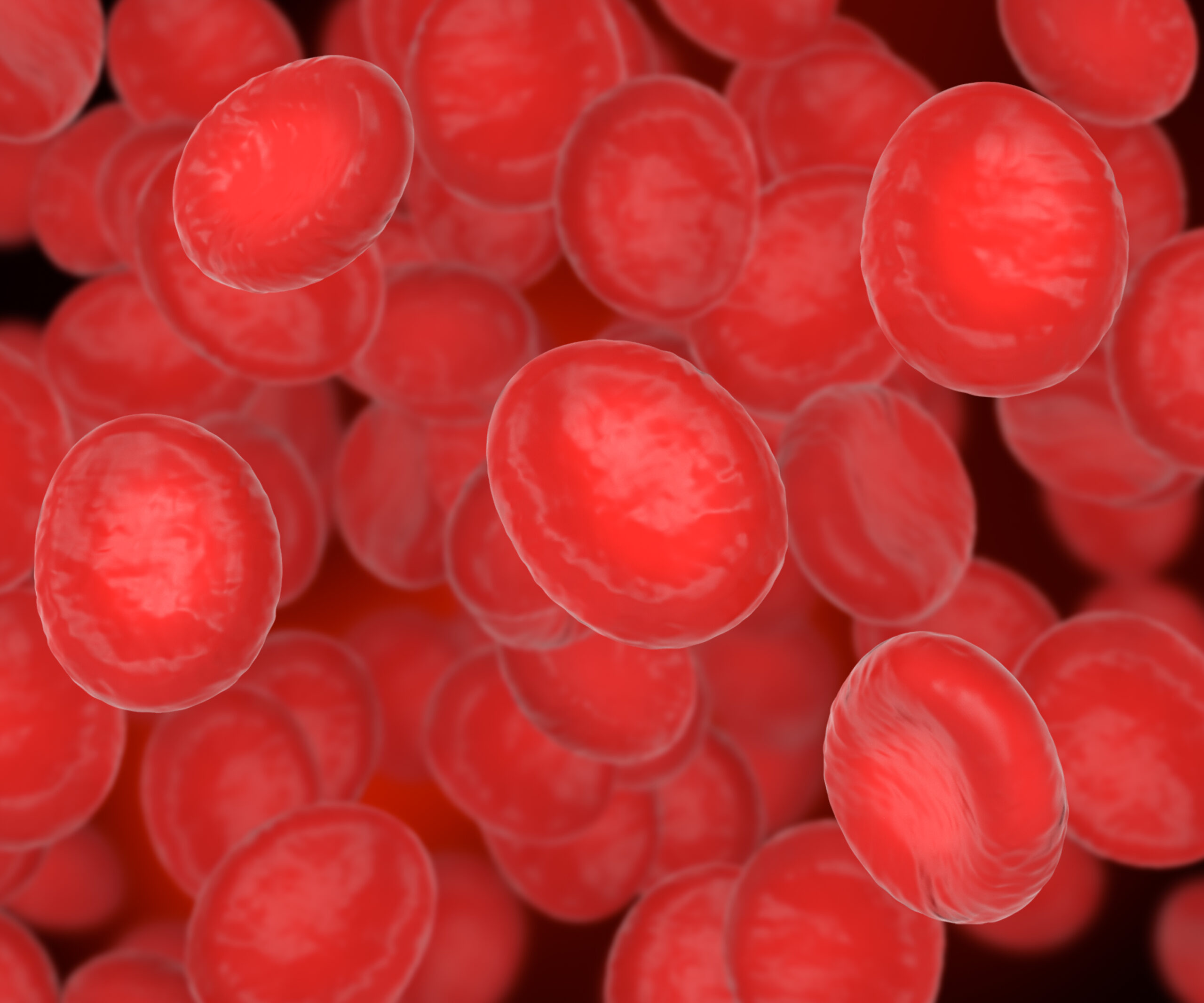 blood cells