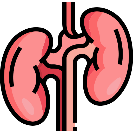 Kidney Health