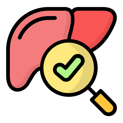 Liver Function