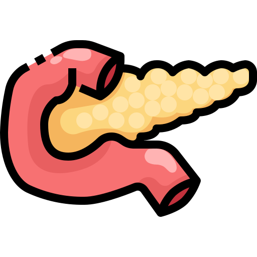 Pancreas Function