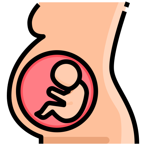 Pregnancy