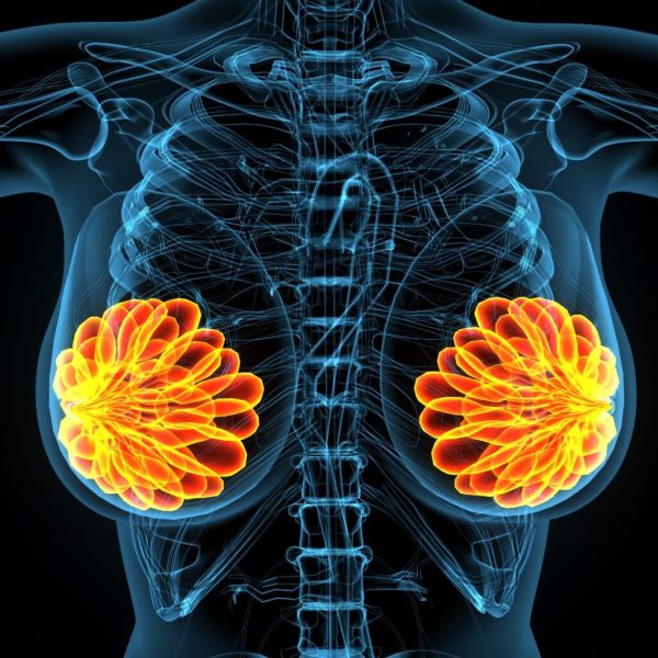 picture-skeleton-with-word-hibiscus-it-1024x1024
